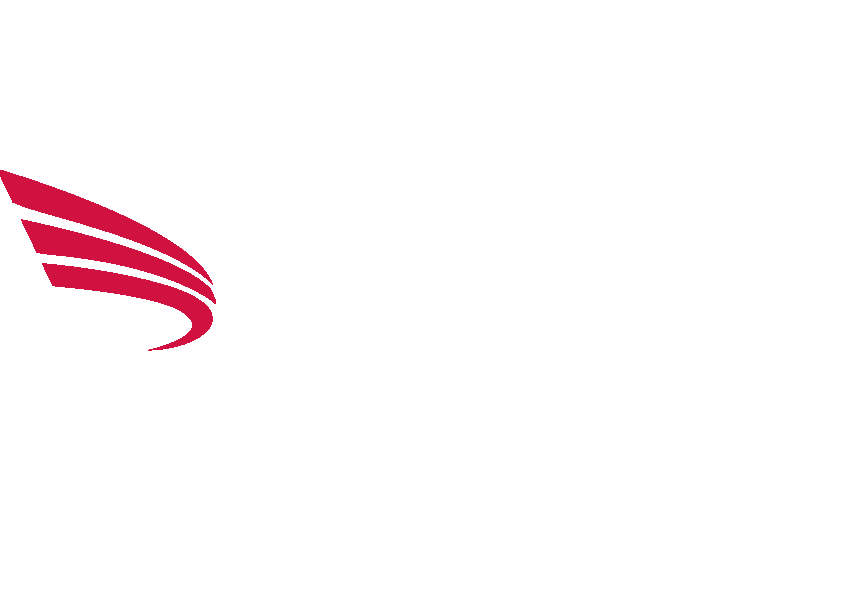 Asian American Chamber logo